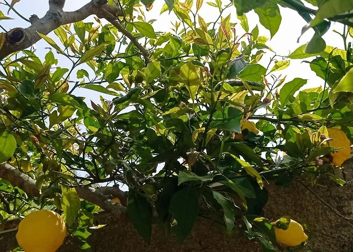 La Pica Marina Anacapri